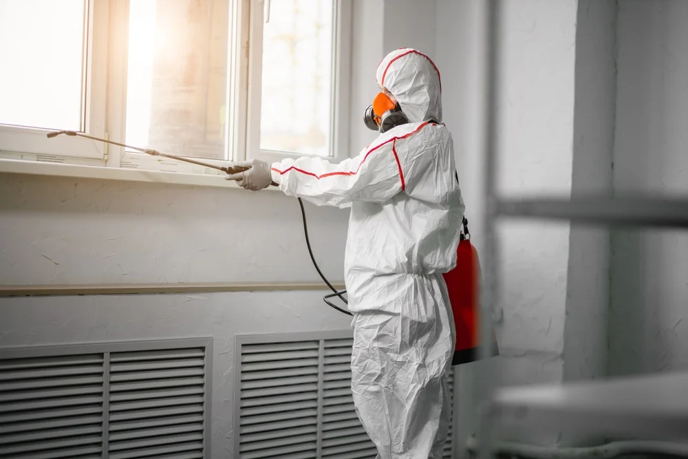Professional mold remediation services in Citra, FL
